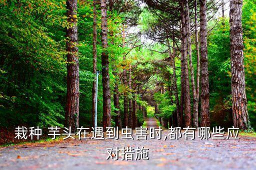 芋頭打什么農(nóng)藥好聞,芋頭蟲用什么農(nóng)藥