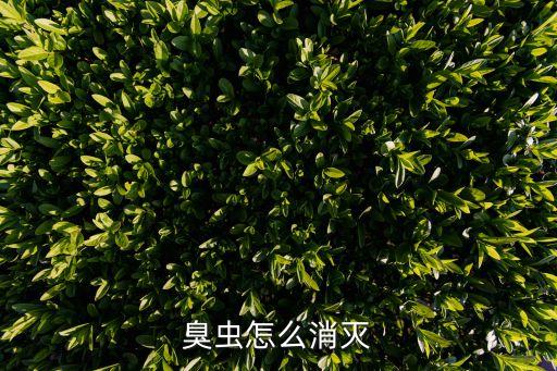 臭蟲怎么消滅
