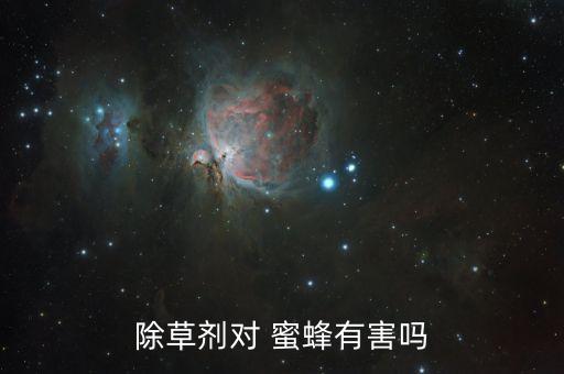 什么樣農藥最傷害蜜蜂,農藥傷害的是人的什么器官
