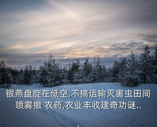 銀燕盤旋在低空,不搞運輸滅害蟲田間噴霧撒 農藥,農業豐收建奇功謎...