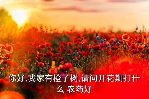 開春桔子樹打什么農藥,桔子樹用什么農藥好