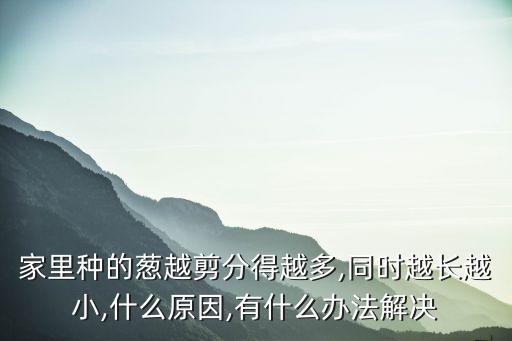 家里種的蔥越剪分得越多,同時越長越小,什么原因,有什么辦法解決