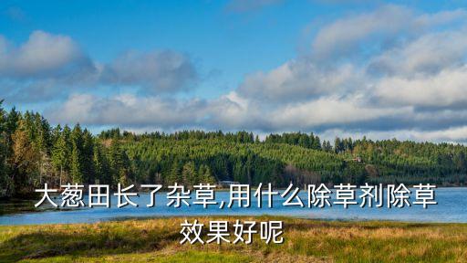 后期大蔥用什么農藥好,什么農藥能殺死大蔥
