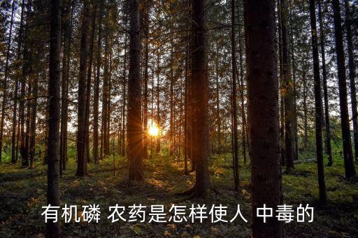 農(nóng)藥為什么引起中毒,能引起慢性中毒的農(nóng)藥是