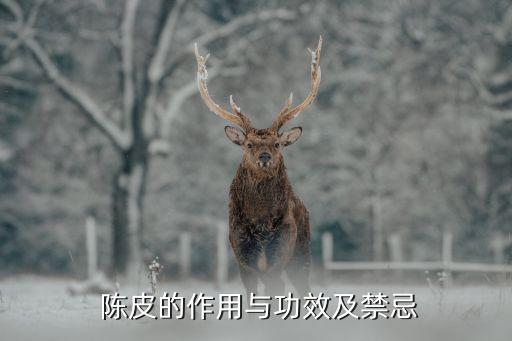  陳皮的作用與功效及禁忌