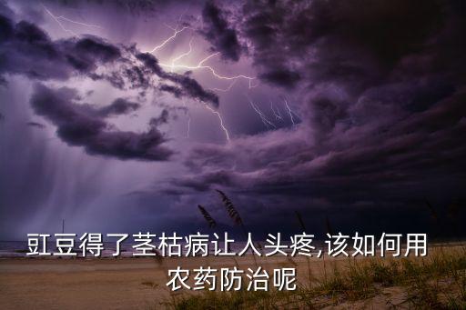 野缸豆用什么農藥好用