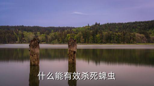 用什么農(nóng)藥可以消滅蜱蟲,消滅蒼蠅用什么農(nóng)藥