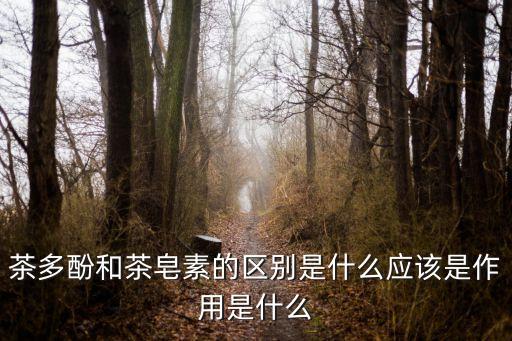 農藥助劑的概念是什么,農藥植物油助劑是什么東西