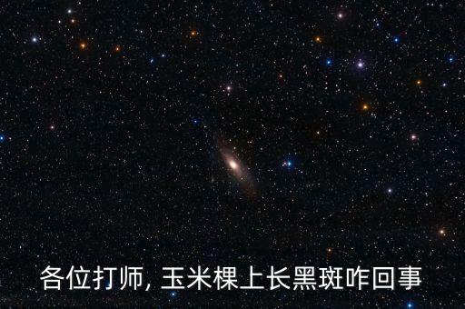 玉米褐斑病用什么農藥防治,春雷霉素防治玉米褐斑病嗎