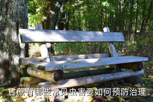 大棚甘蔗用什么農(nóng)藥,甘蔗打什么農(nóng)藥長(zhǎng)得快