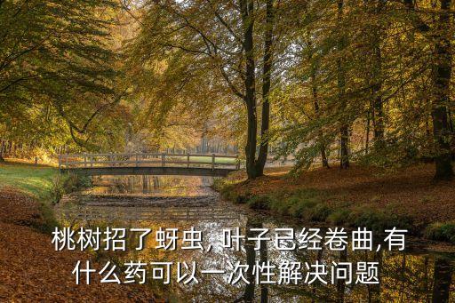  桃樹招了蚜蟲, 葉子已經卷曲,有什么藥可以一次性解決問題