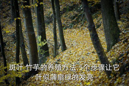 斑葉 竹芋的養殖方法,5個步驟讓它葉似蒲扇綠的發亮