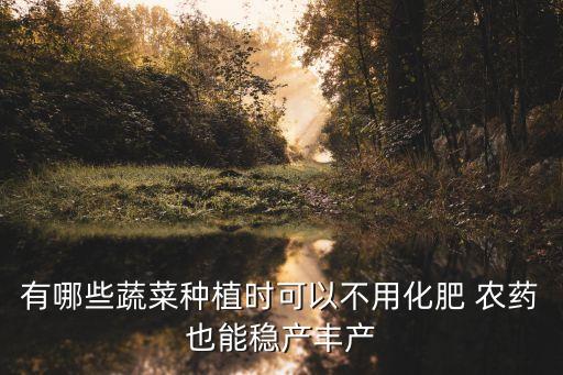 有哪些蔬菜種植時可以不用化肥 農藥也能穩產豐產