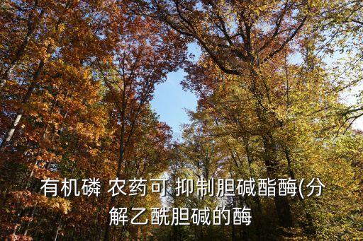 有機(jī)農(nóng)藥屬于什么抑制,有機(jī)磷酸酯農(nóng)藥抑制的酶是
