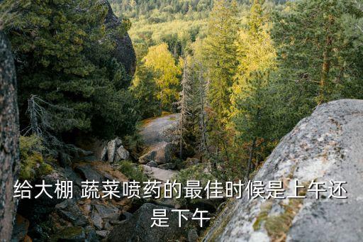 給大棚 蔬菜噴藥的最佳時候是上午還是下午