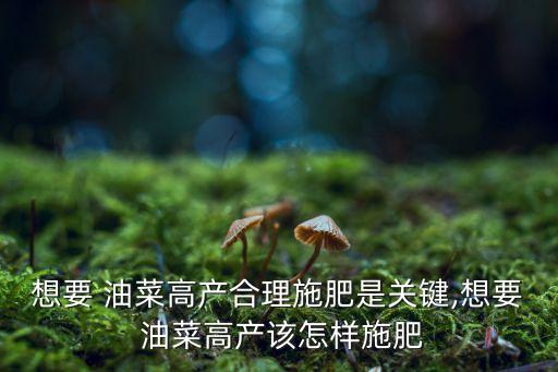 小油菜打什么農藥增產,油菜花期用什么農藥