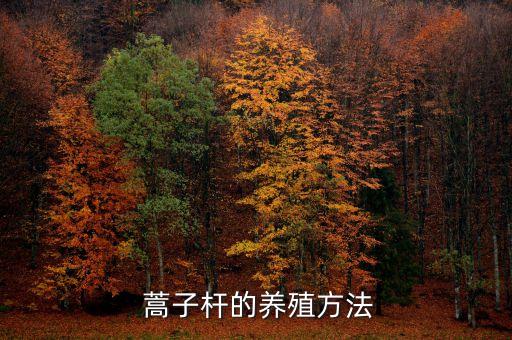  蒿子桿的養殖方法