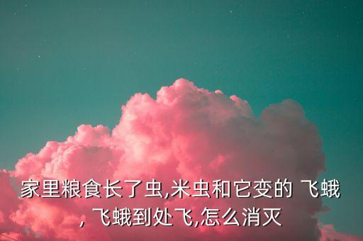 家里糧食長了蟲,米蟲和它變的 飛蛾, 飛蛾到處飛,怎么消滅