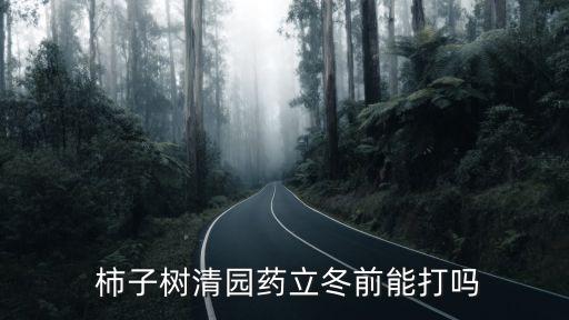  柿子樹清園藥立冬前能打嗎