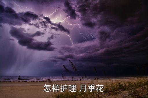 怎樣護(hù)理 月季花