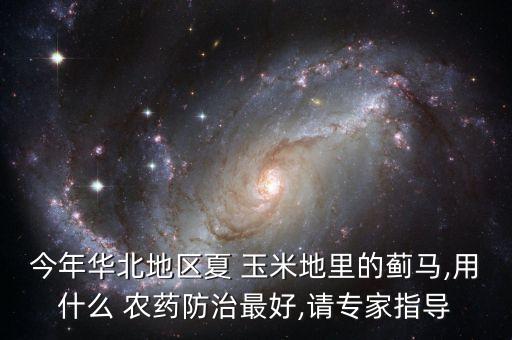 玉米地的蟲打什么農藥,打地下蟲用什么農藥