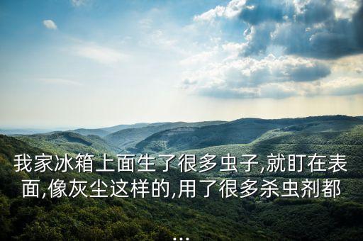 我家冰箱上面生了很多蟲子,就盯在表面,像灰塵這樣的,用了很多殺蟲劑都...