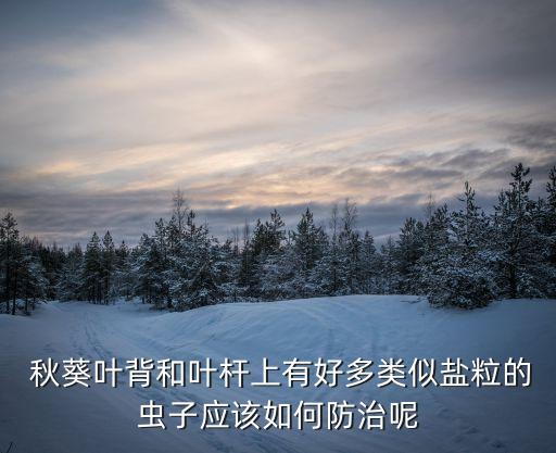 秋葵用什么農(nóng)藥最好,秋葵什么顏色的是最好的