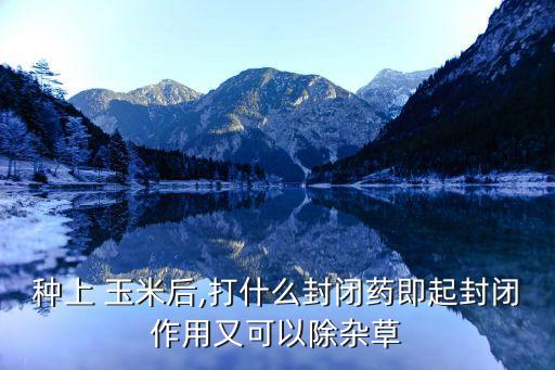 種植玉米打什么農(nóng)藥,玉米不能打什么農(nóng)藥
