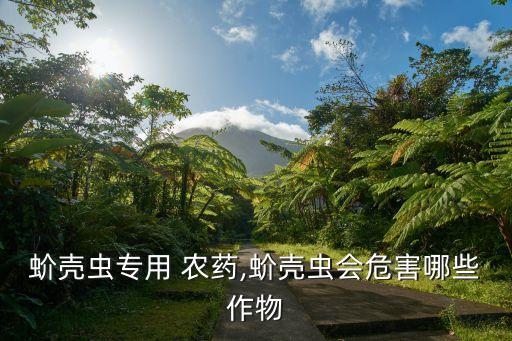 蚧殼蟲專用 農藥,蚧殼蟲會危害哪些作物