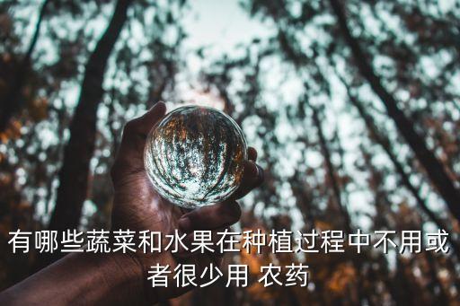 種什么青菜不打農藥不長