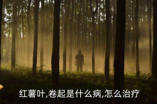 紅薯葉蟲子用什么農藥,種紅薯打什么農藥