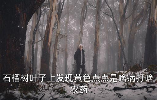 石榴樹葉子上發現黃色點點是啥病打啥 農藥