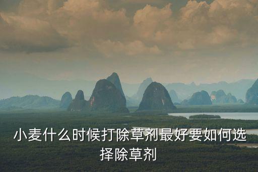  小麥什么時候打除草劑最好要如何選擇除草劑