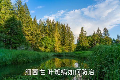 細菌性 葉斑病如何防治