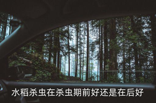 水稻殺蟲在殺蟲期前好還是在后好