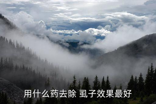 花生有虱子用什么農藥,什么農藥可以殺虱子