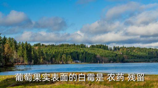 葡萄會殘留什么農藥,農藥是不是只殘留在葡萄表皮