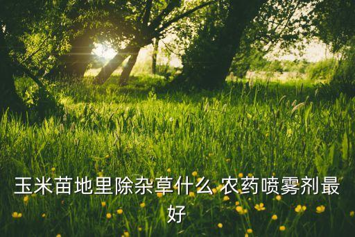 玉米苗地里除雜草什么 農藥噴霧劑最好
