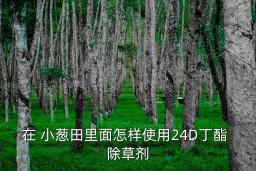在 小蔥田里面怎樣使用24D丁酯 除草劑