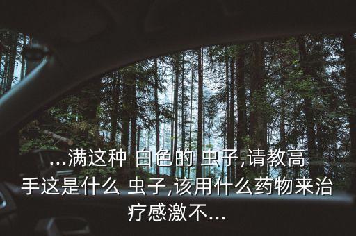 樹上的白色蟲子用什么農藥,樹上有蟲子用什么農藥