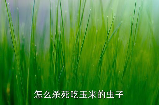 怎么殺死吃玉米的蟲子