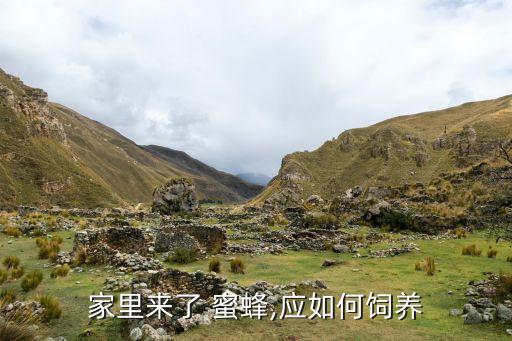 蜜蜂不怕什么農藥,什么農藥對蜜蜂傷害最大