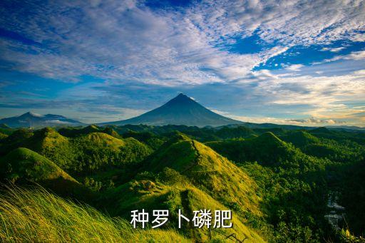 種蘿卜土里放什么農藥
