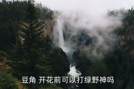 什么農(nóng)藥能讓豆角開花多,長(zhǎng)豆角用什么農(nóng)藥最好