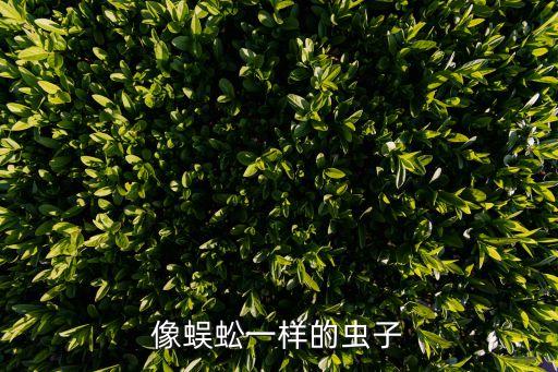 殺滅草鞋蟲用什么農藥