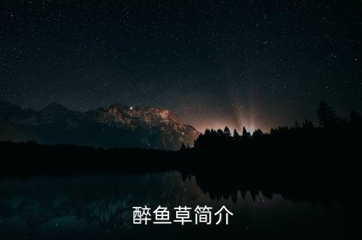  醉魚草簡介