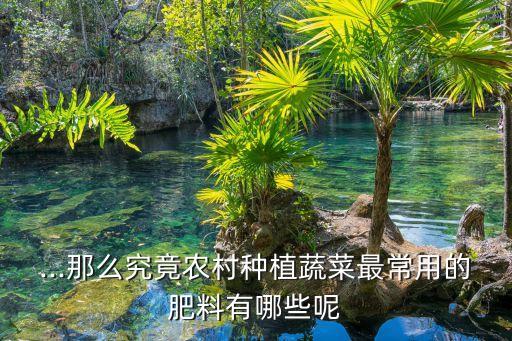 什么青菜可以施化肥的農藥
