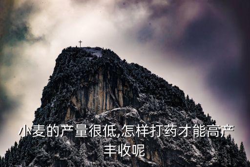 ,喀什小麥應該選什么農藥