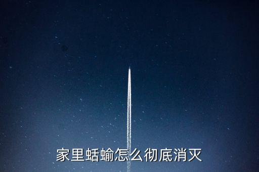 家里蛞蝓怎么徹底消滅