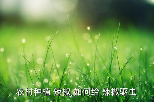 農村種植 辣椒,如何給 辣椒驅蟲
